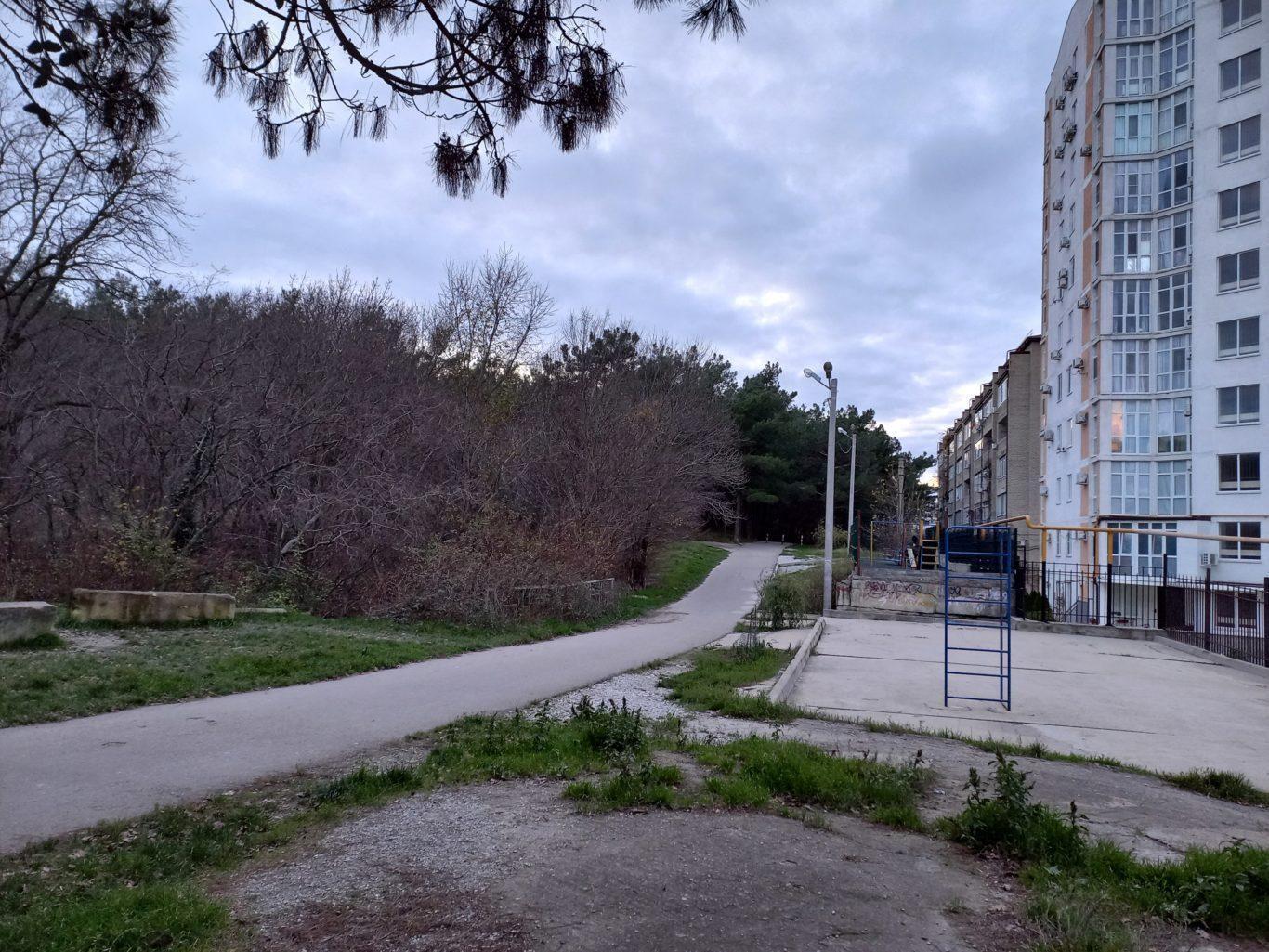 В Геленджике создадут городское лесничество